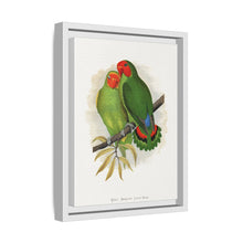 Lydon's West African Love-Bird | Vintage Avian Wall Art Print