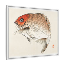 Tai (Red Seabream) fish by Kōno Bairei