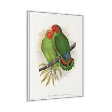 Lydon's West African Love-Bird | Vintage Avian Wall Art Print