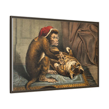 A monkey physician examining a cat patient for fleas. Coloured lithograph