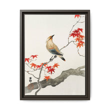 Japanese plague bird on maple (1900 - 1936) by Ohara Koson