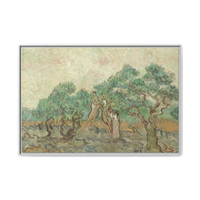 Vincent van Gogh's The Olive Orchard (1889) - Historical Art Canvas Print - NOMADEN ART GALLERY
