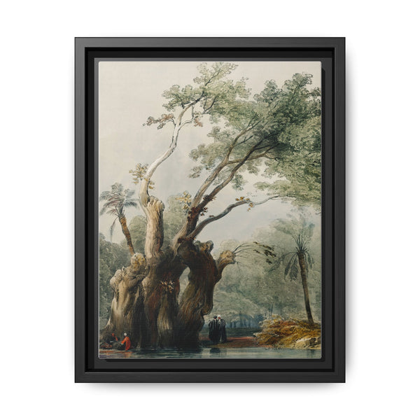 The holy tree of Metereah illustration by David Roberts (1796–1864) - NOMADEN ART GALLERY