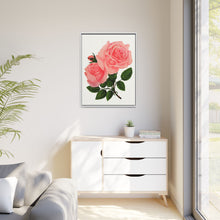 Pink Rose, La France Lithograph (1900)