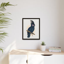Great Black Cockatoo (Probosciger aterrimus) colored wood-engraved plate by Alexander Francis Lydon