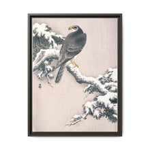 Goshawk on Snow-covered Pine Bough by Ohara Koson (1877–1945) - NOMADEN ART GALLERY