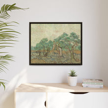 Vincent van Gogh's The Olive Orchard (1889) - NOMADEN ART GALLERY