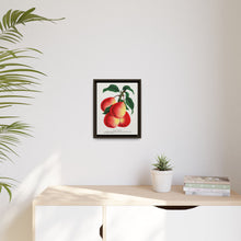 Vermont Beauty pear lithograph. Digitally enhanced from our own original 1900 edition plates of Botanical Specimen published by Rochester Lithographing