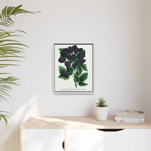 Wachusett Blackberry Lithograph | Vintage Botanical Wall Art