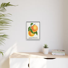 Champion plum lithograph from Botanical Specimen published by Rochester Lithographing
