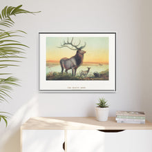 The Wapiti from Zoological sketches (1861-1867) by Joseph Wolf and Philip Lutley Sclater