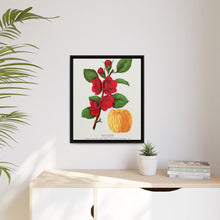Japan Quince tree lithograph. Digitally enhanced from our own original 1900 edition plates of Botanical Specimen published by Rochester Lithographing