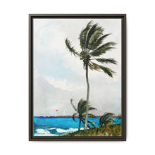 Palm Tree, Nassau (1898) by Winslow Homer - NOMADEN ART GALLERY