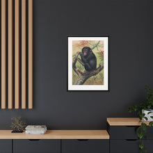 The Chimpanzee from Zoological sketches (1861-1867) by Joseph Wolf and Philip Lutley Sclater.