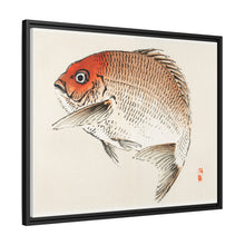 Tai (Red Seabream) fish by Kōno Bairei