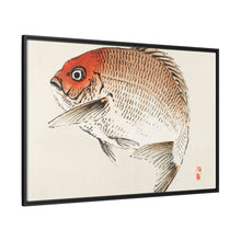 Tai (Red Seabream) fish by Kōno Bairei