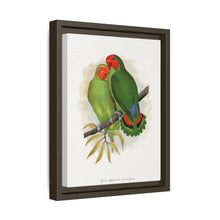 Lydon's West African Love-Bird | Vintage Avian Wall Art Print