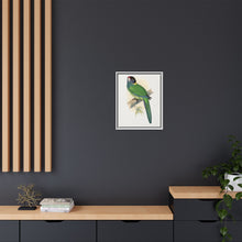 Lydon's Yellow-Naped Parrakeet | Vintage Bird Wall Art Print