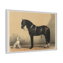 Orloffer (Orloff Horse) by Emil Volkers (1880) - An illustration of a black horse and a white dog - NOMADEN ART GALLERY