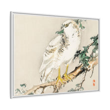 Northern mockingbird by Kōno Bairei (1844-1895)