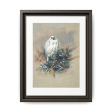 The Greenland Falcon from Zoological sketches (1861-1867) by Joseph Wolf and Philip Lutley Sclater - NOMADEN ART GALLERY