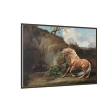 Horse Frightened by a Lion (1762–1768) by George Stubbs
