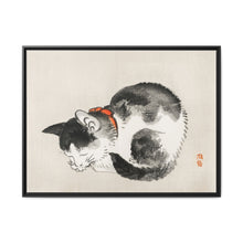 Sleeping cat by Kōno Bairei (1844-1895) - NOMADEN ART GALLERY
