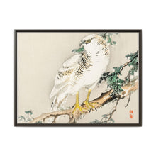 Northern mockingbird by Kōno Bairei (1844-1895) - NOMADEN ART GALLERY