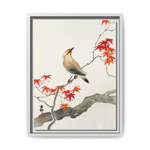Japanese plague bird on maple (1900 - 1936) by Ohara Koson