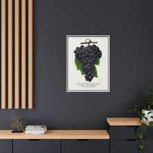 Early Ohio grape lithograph. Digitally enhanced from our own original 1900 edition plates of Botanical Specimen published by Rochester Lithographing