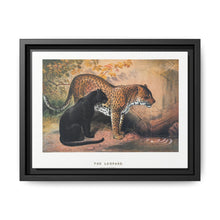 The Leopard from Zoological sketches (1861-1867) by Joseph Wolf and Philip Lutley Sclater - NOMADEN ART GALLERY