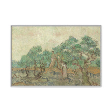 Vincent van Gogh's The Olive Orchard (1889) - NOMADEN ART GALLERY