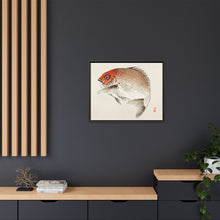 Tai (Red Seabream) fish by Kōno Bairei