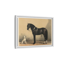 Orloffer (Orloff Horse) by Emil Volkers (1880) - An illustration of a black horse and a white dog - NOMADEN ART GALLERY