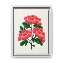 Paul's New Double Flowering Thorn lithograph. Digitally enhanced from our own original 1900 edition plates of Botanical Specimen published by Rochester Lithographing - NOMADEN ART GALLERY