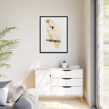 Great Salmon-Crested Cockatoo (CACATUA MOLUCCENSIS) colored wood-engraved plate by Alexander Francis Lydon.