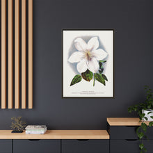 Clematis flower lithograph. Digitally enhanced from our own original 1900 edition plates of Botanical Specimen published by Rochester Lithographing