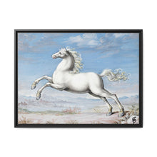 White horse (1552–1601) by Joris Hoefnagel - NOMADEN ART GALLERY