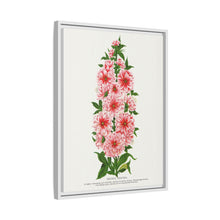 Prunus Triloba flower lithograph. Digitally enhanced from our own original 1900 edition plates of Botanical Specimen published by Rochester Lithographing