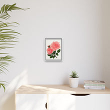Pink Rose, La France Lithograph (1900)