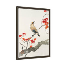Japanese plague bird on maple (1900 - 1936) by Ohara Koson