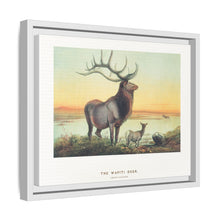 The Wapiti from Zoological sketches (1861-1867) by Joseph Wolf and Philip Lutley Sclater