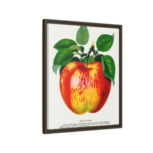Wolf River Apple Lithograph | Vintage Botanical Wall Art Print