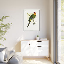 Carolina Parrot (Conuropsis carolinensis) colored wood-engraved plate by Alexander Francis Lydon.