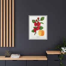 Japan Quince tree lithograph. Digitally enhanced from our own original 1900 edition plates of Botanical Specimen published by Rochester Lithographing