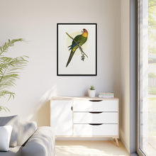 Carolina Parrot (Conuropsis carolinensis) colored wood-engraved plate by Alexander Francis Lydon.