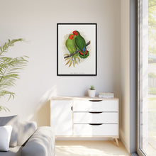 Lydon's West African Love-Bird | Vintage Avian Wall Art Print