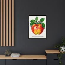 Wolf River Apple Lithograph | Vintage Botanical Wall Art Print