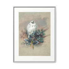 The Greenland Falcon from Zoological sketches (1861-1867) by Joseph Wolf and Philip Lutley Sclater - NOMADEN ART GALLERY