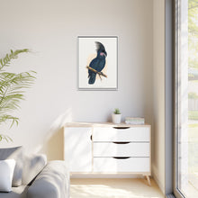 Great Black Cockatoo (Probosciger aterrimus) colored wood-engraved plate by Alexander Francis Lydon